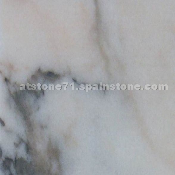 Rosa Aurora Creme
