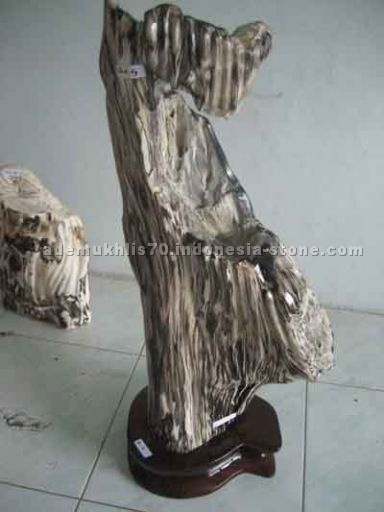 petrified wood Sulpture