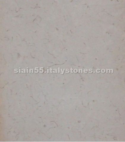 Biancone Fossil