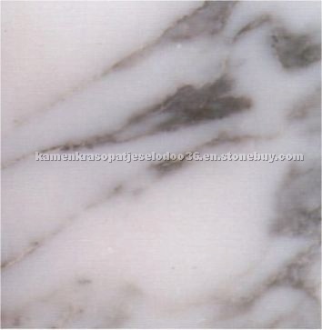 Arabescato Corchia marble