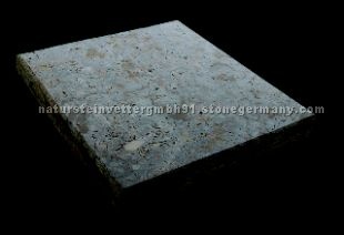 Bohleite Shell Limestone