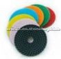 Diamond Polishing Pads (DP-01)