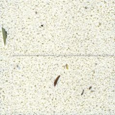 Quartz Stone
