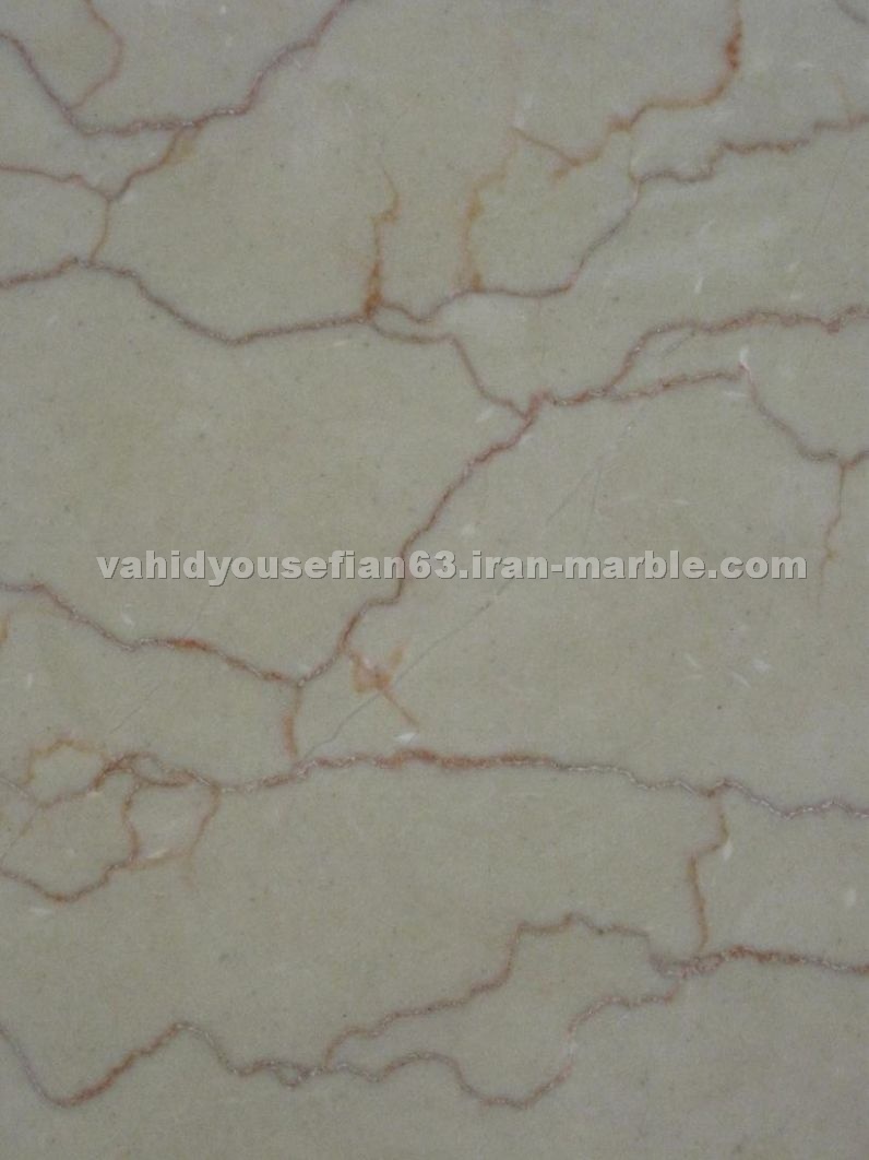Shell Beige Marble