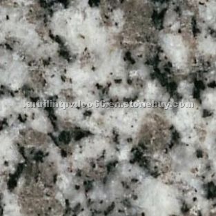 Grigio Tarn granite