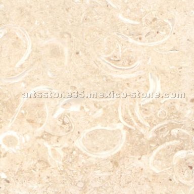 Coquina Limestone