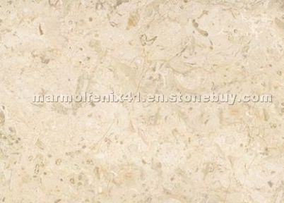 Beige Sahara