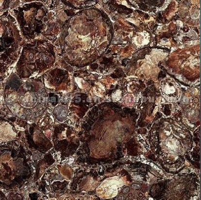 Brown Petrified Wood stone