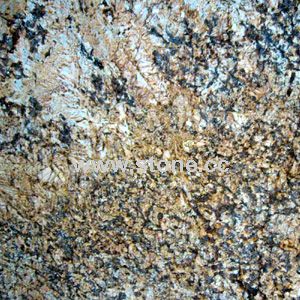 Golden Parsa granite