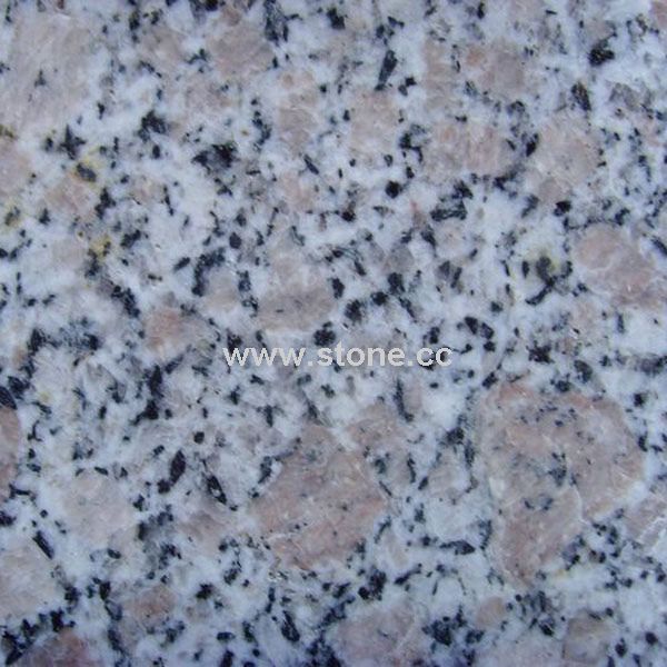 Pearl Flower Granite