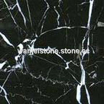 &nbsp;Black and White Root