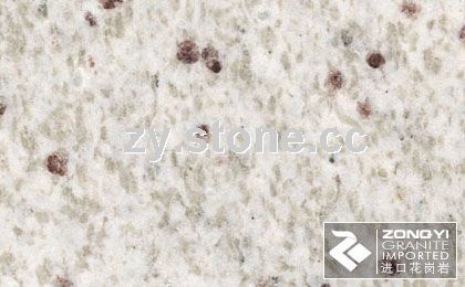 Swan White b