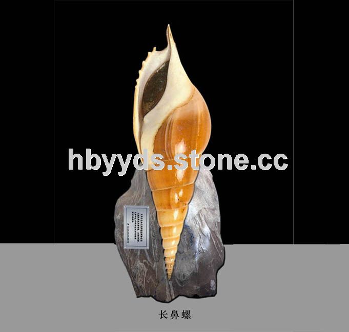 shell sculpture