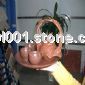 Muyu-stone tea set