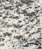 tiger skin white