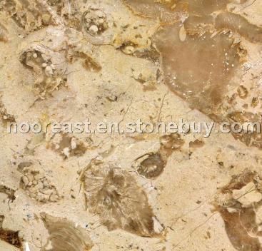 BRECCIA