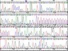 Taq polymerases etc