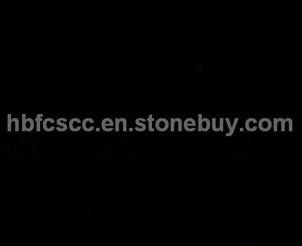 Shanxi Black granite