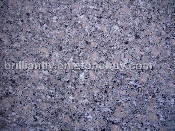 G 275 SAINA PEARL