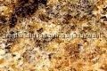 Kashmir Gold