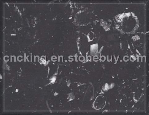 Vityna Black
