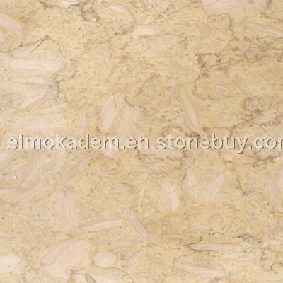 New Beige Dark