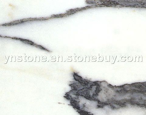 Arabescato Corchia Arabescato Corchia