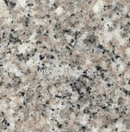 General Grey Chinese Natural Granite with The Cheapest Price