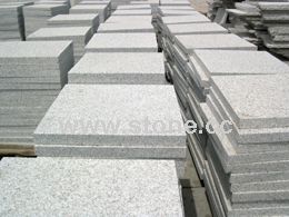 Paving Stone