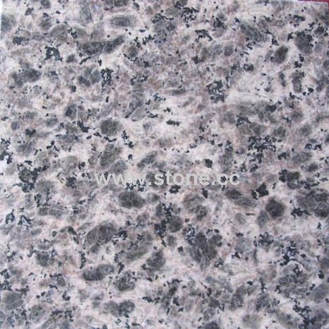 Lepoard Skin Granite