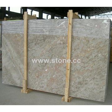 Marble (Camellia)