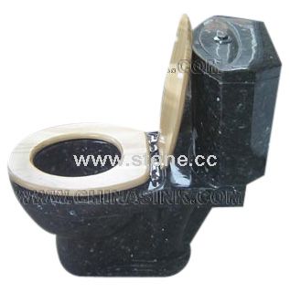 Stone Toilet