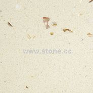 Shell  Marble