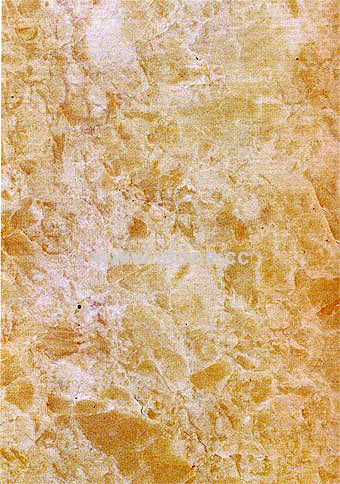 K3 Beige Marble Slab