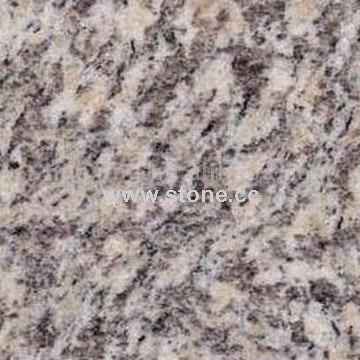 Tiger Skin White Tiger Skin White