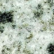 American grey granite