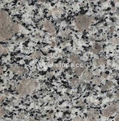 granite Pearl Flower G3783