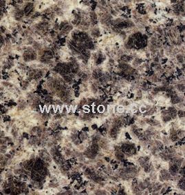 Leopard skin
