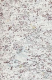 White Pearl Granite