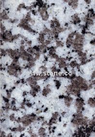 G439 white flower granite