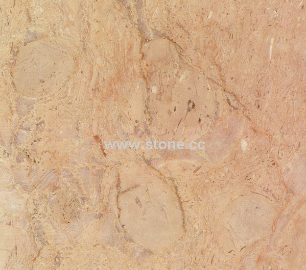 TURKEY_DRAGON-BEIGE marble