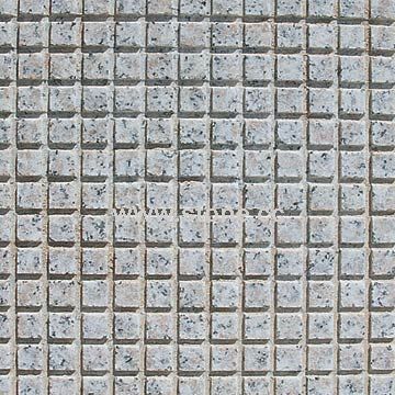 Paving Stone