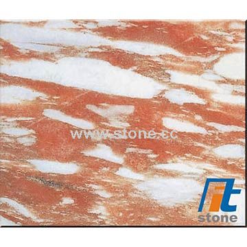 Marble (Norweigian rose)