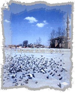 Andesite Plaza Paver