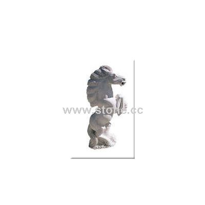 Hippocampi 5