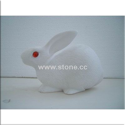 NC0013 shy rabbit