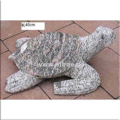 NC0015 Turtle