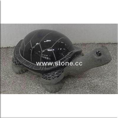 NC0017 tortoise