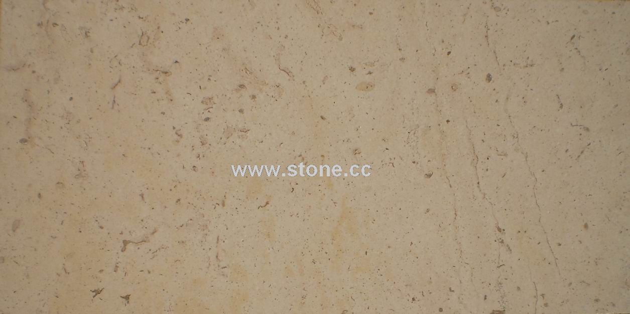 Beige Fossil limestone Honed