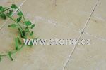 Beige Marble Collection
